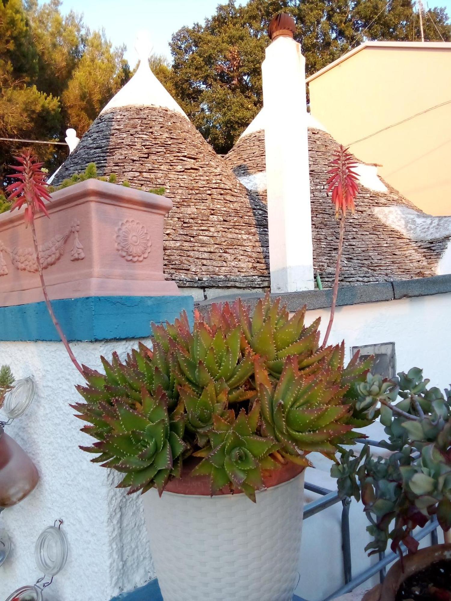 Casa Da Luisa Countryhouse Noci Exterior photo